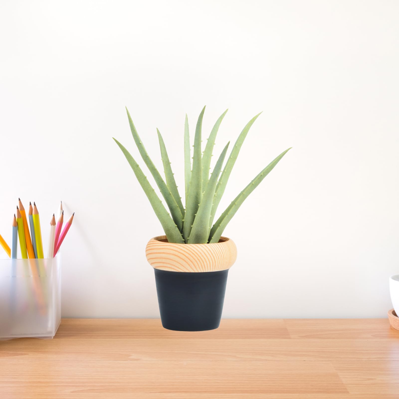 Flexoria Artificial Agave Plant – Gift for Home, Office & Events