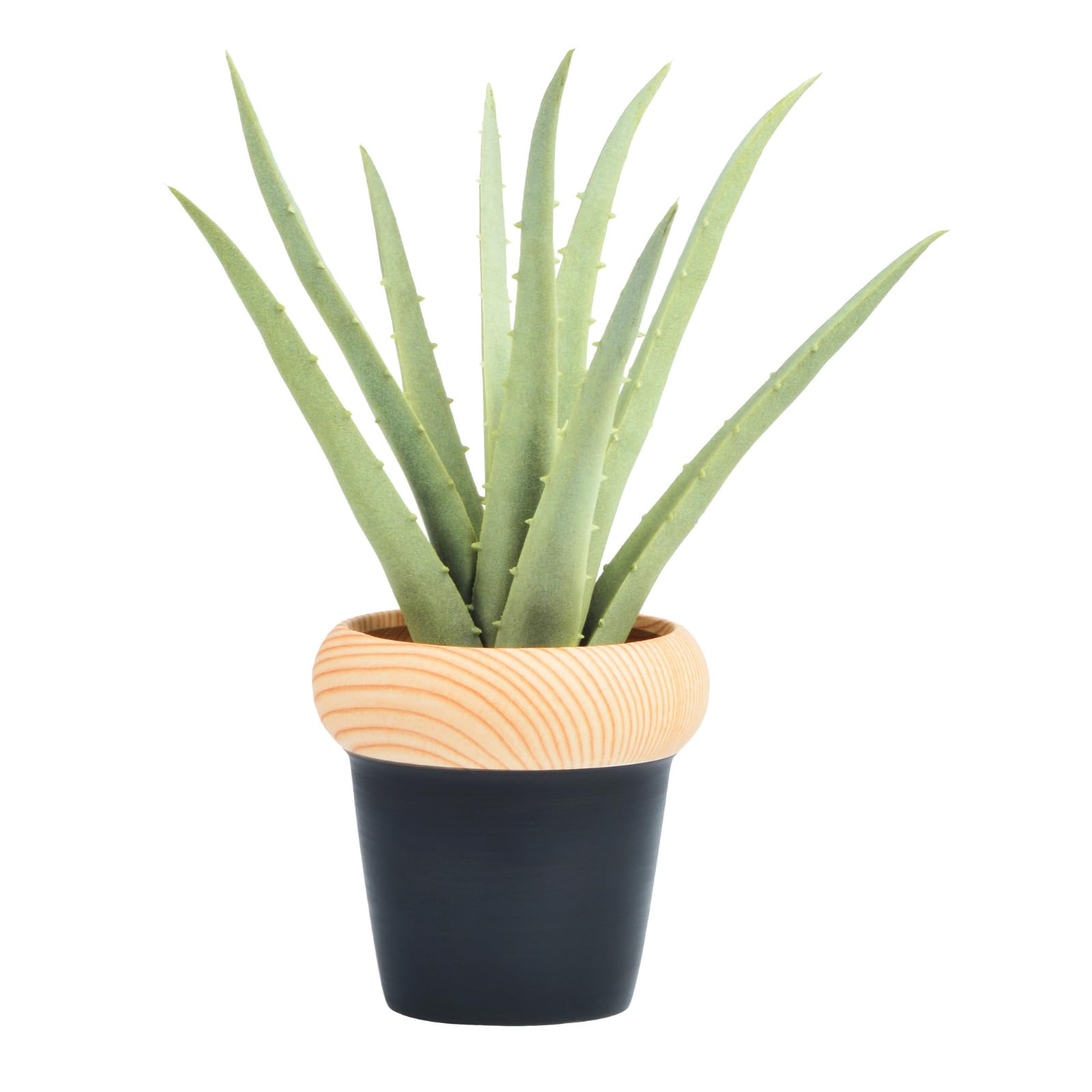 Flexoria Artificial Agave Plant – Gift for Home, Office & Events