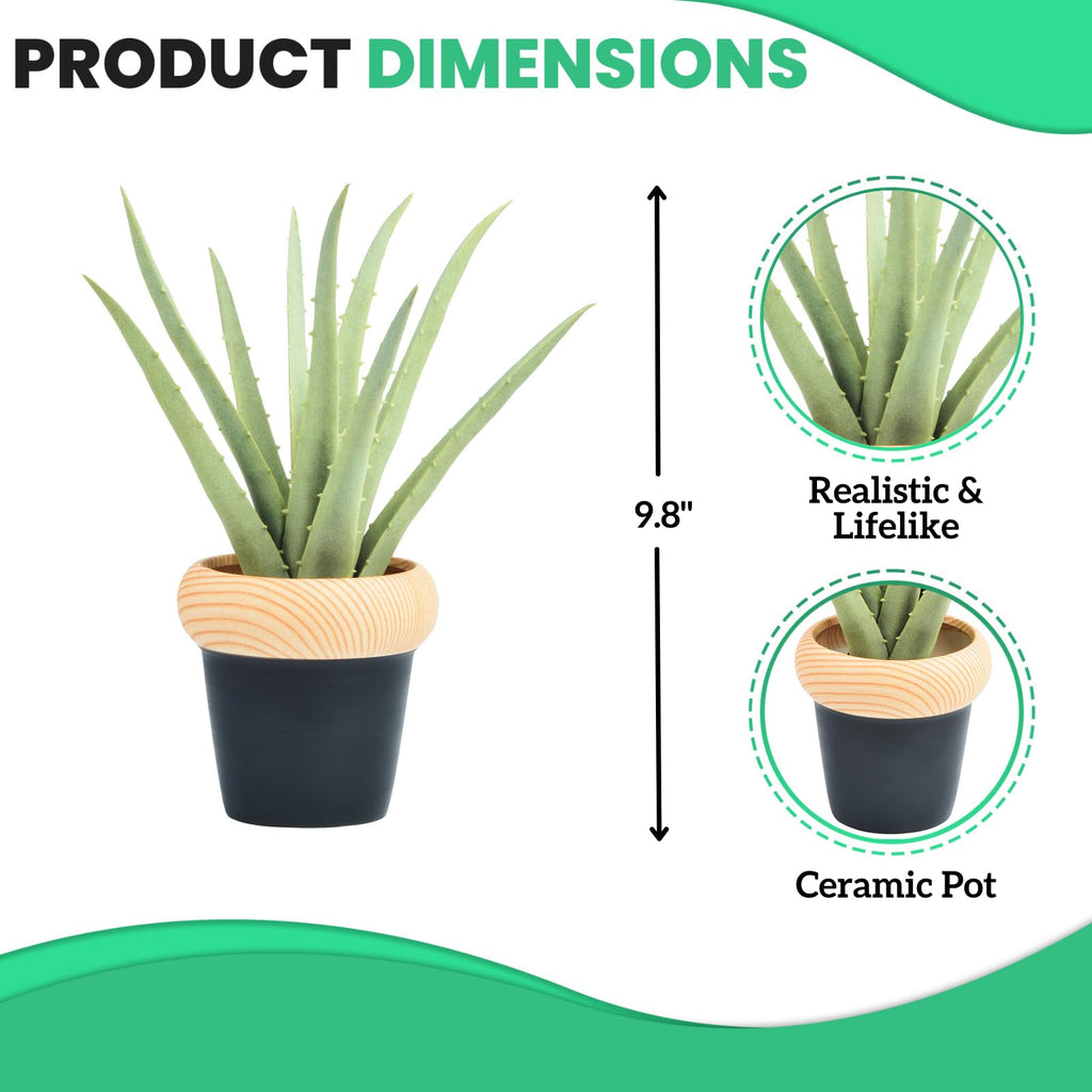 Flexoria Artificial Agave Plant – Gift for Home, Office & Events