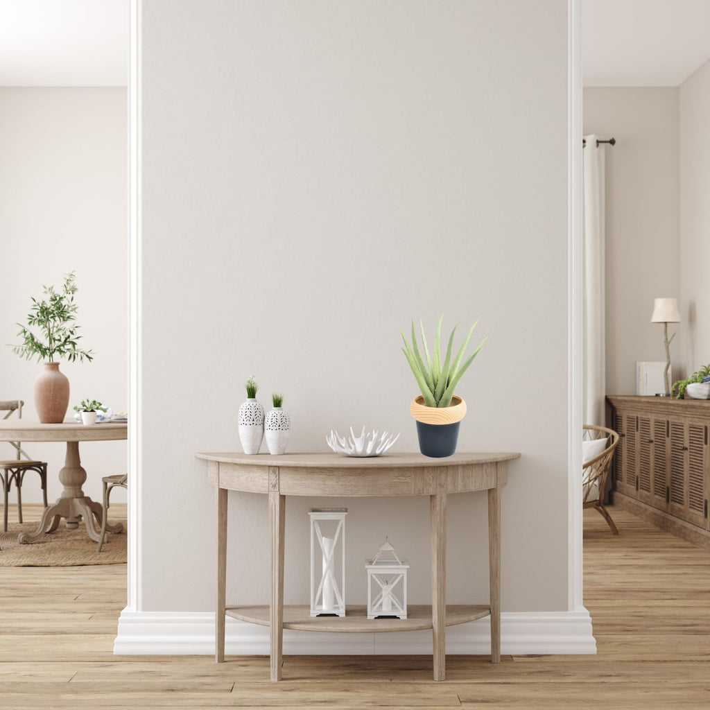 Flexoria Artificial Agave Plant – Gift for Home, Office & Events