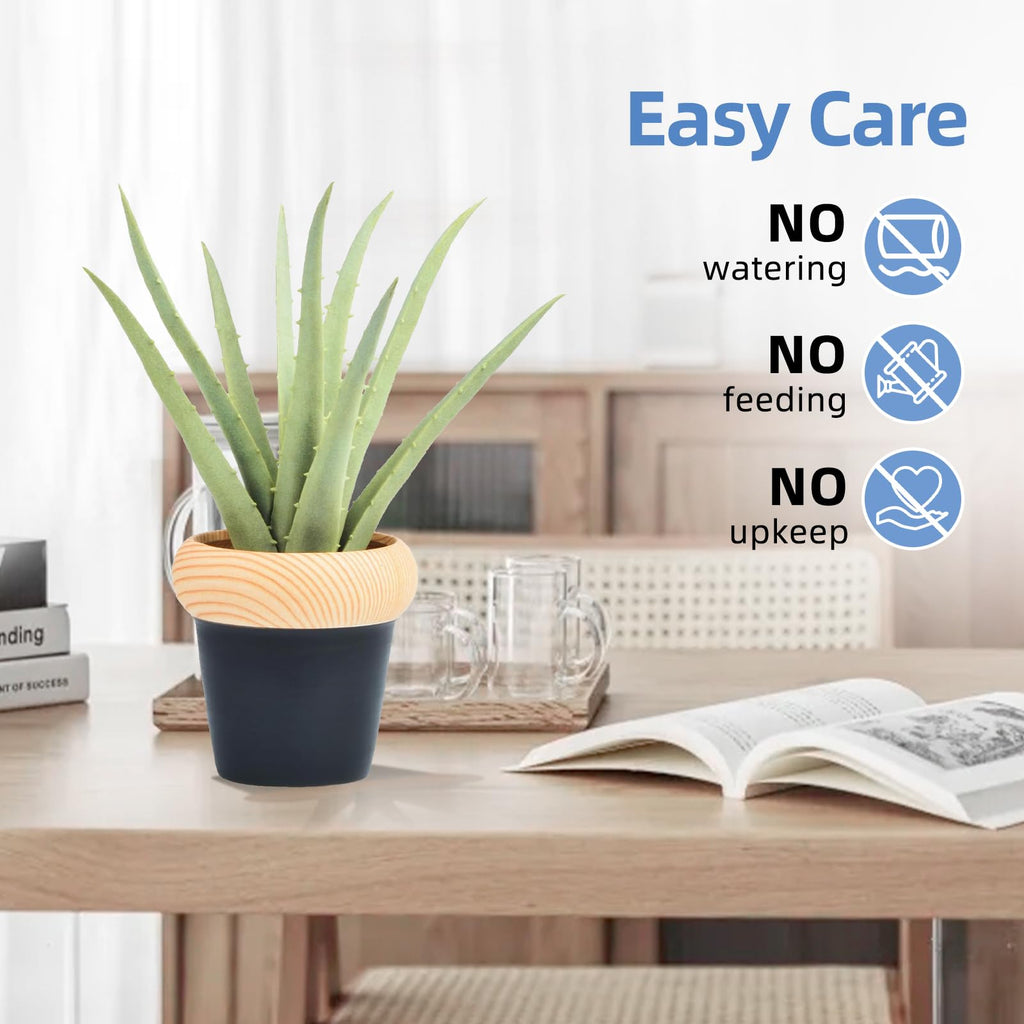 Flexoria Artificial Agave Plant – Gift for Home, Office & Events